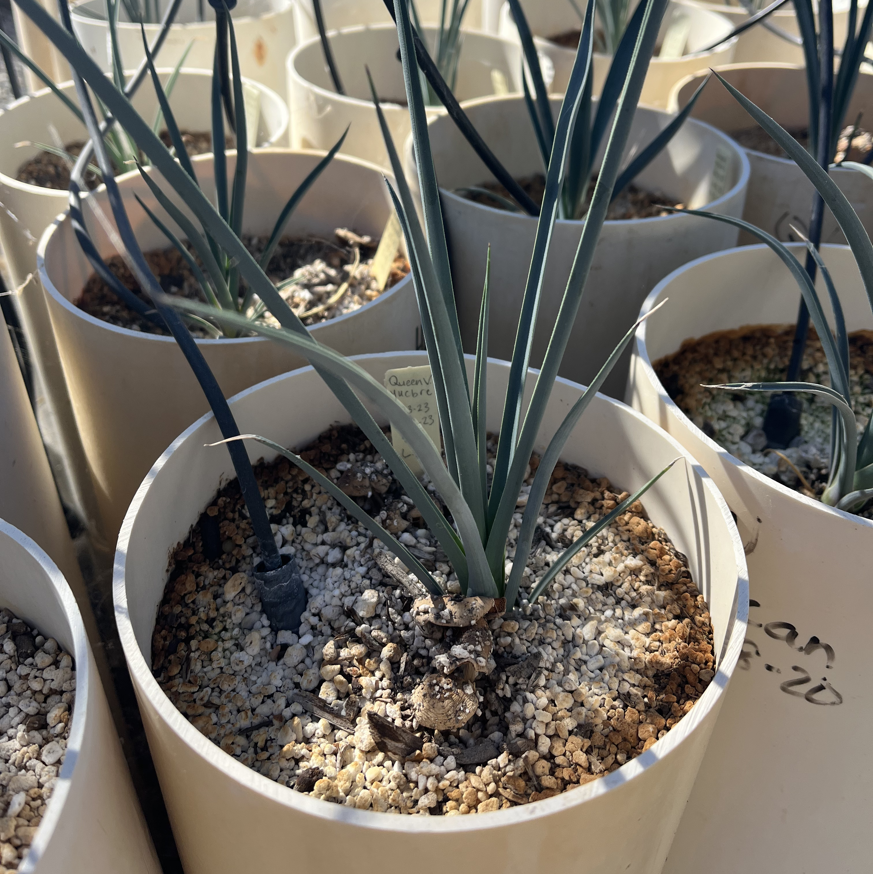 Resource Optimization